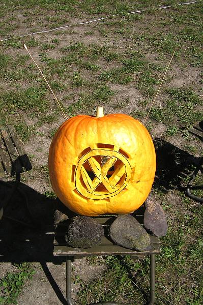 Podmitrov podzim 2008