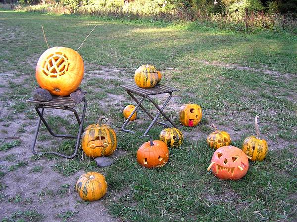 Podmitrov podzim 2008